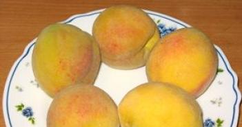 peach compote សម្រាប់រដូវរងារ រូបមន្តដែលមាននិងគ្មានរណ្តៅ - កសិករដោយគ្មានការរំខាន