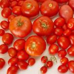 살균하지 않고 자체 주스로 토마토를 만드는 간단한 레시피 식초 없이 자체 주스로 토마토 슬라이스