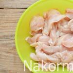 닭 가슴살과 등심으로 만든 쇠고기 스트로가노프: 몇 가지 흥미로운 요리법