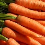 What is Vitamin A