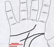 आपके हाथ की हथेली में यात्रा लक्षणों की व्याख्या जीवन रेखा पर यात्रा रेखाएं