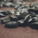 해바라기씨 로스팅 방법 - 맛있는 로스팅 씨앗 