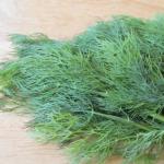 Description of the best varieties of dill for open ground and for greens, what the plant looks like Which dill to plant for greens