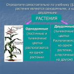 Ποια φυτά ονομάζονται δίοικα